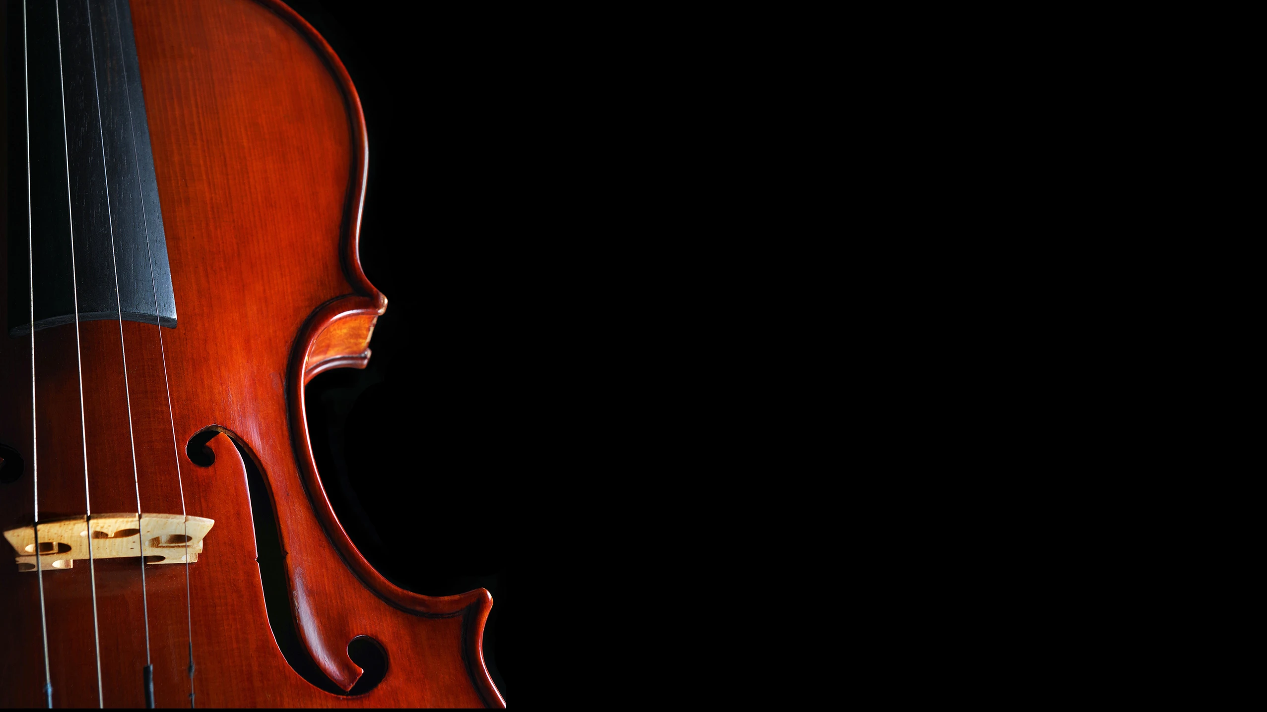Music Department to Host 2026 All-State Strings Concert